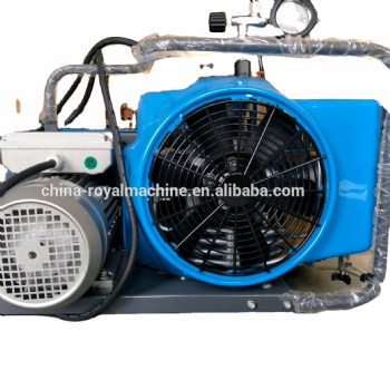 Hot Sale Products   300bar 100L/Min Mobile High Pressure Compressor for Compressing Air and Breathing Air